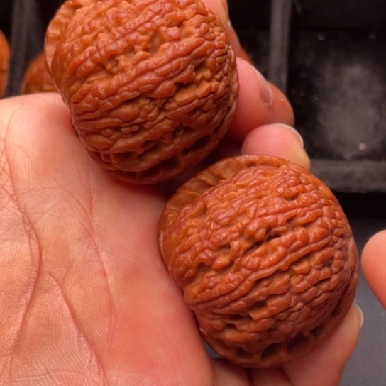 文玩核桃把件111111111111111