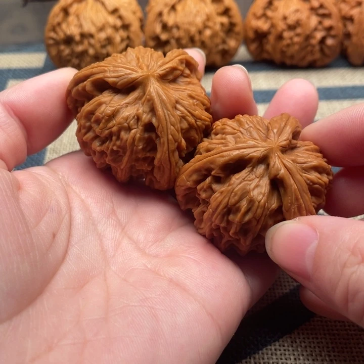 时***登核桃白狮子40核桃