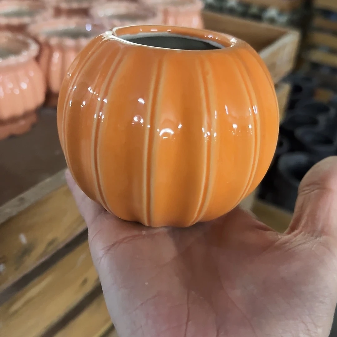 福利局绿植多肉盆［凑9元包邮24小时发］