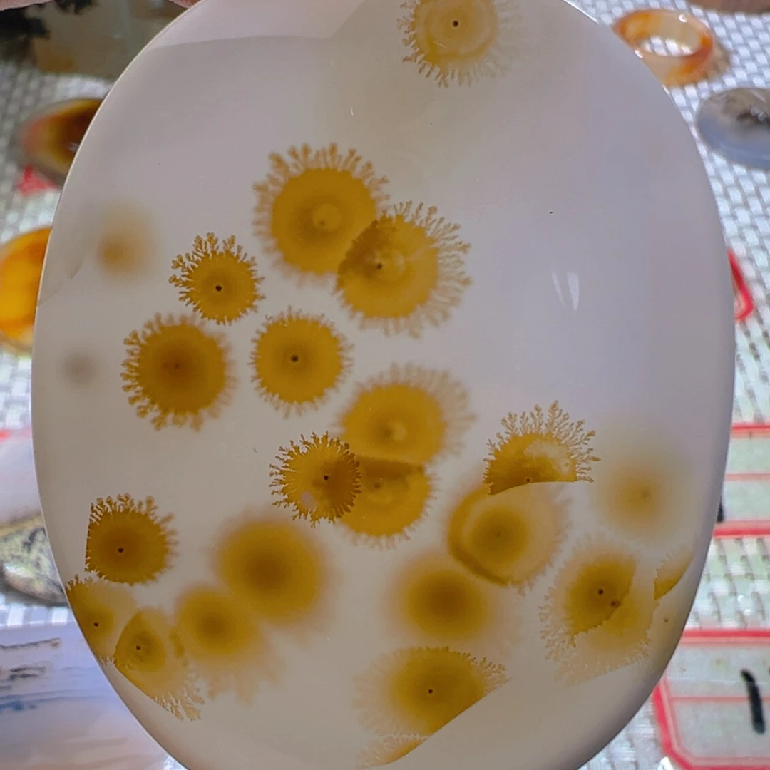 未镶嵌颈饰玛瑙/玉髓