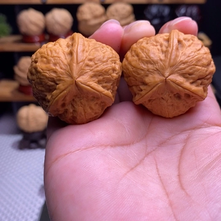 木质类云铁寿桃三棱27号