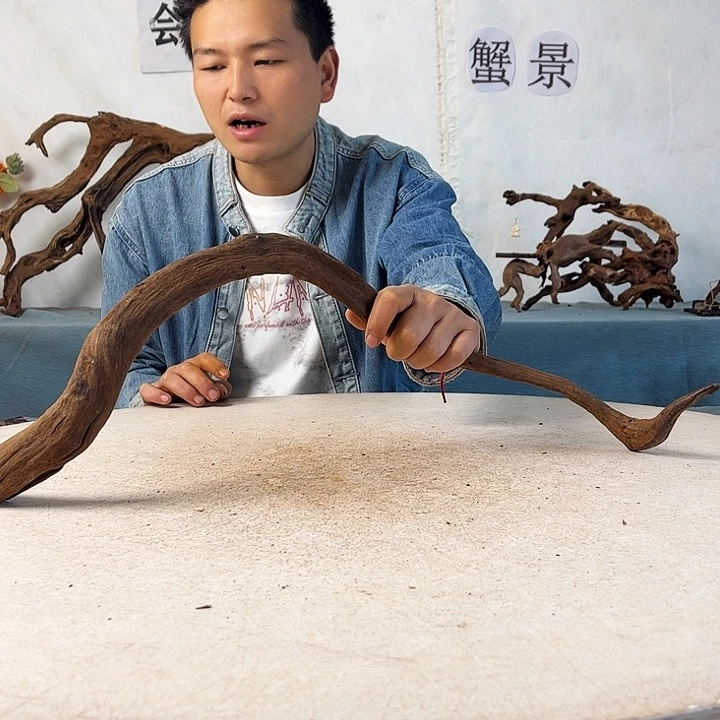 新年快乐沉木造景