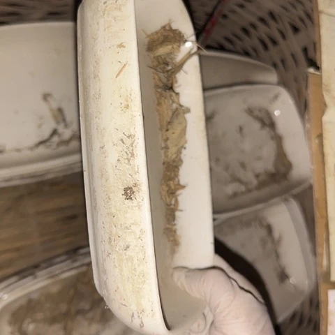 瓷片国营厂库存微瑕20厘米