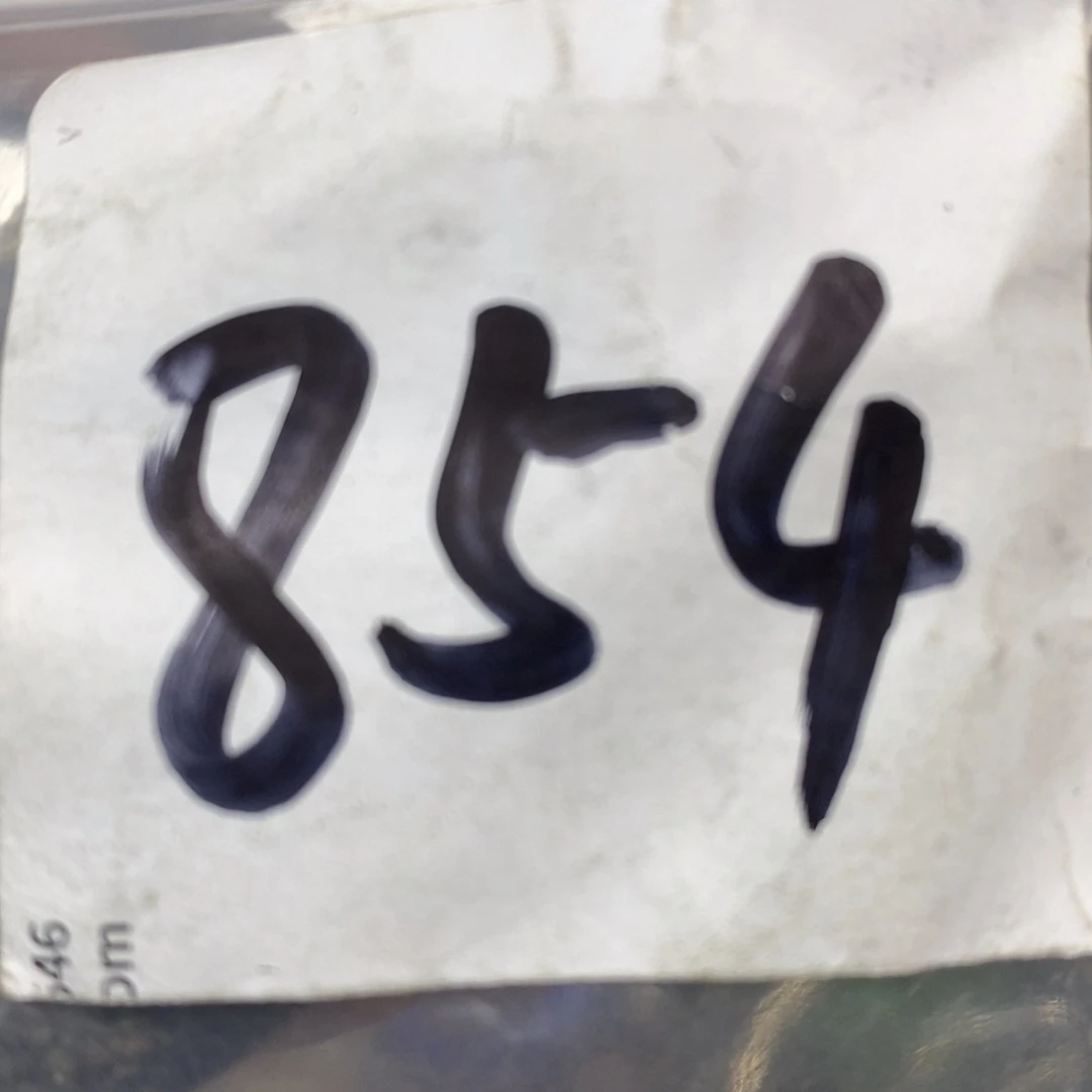 二***侠吊坠龙脊菩提德宝文玩直播间专属链接
