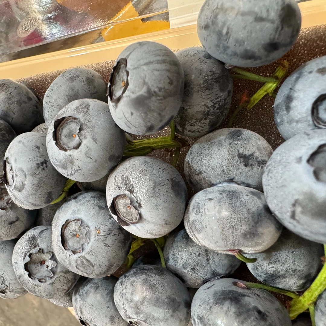 【直播浮力】长白山带枝鲜蓝莓大果蓝莓脆甜新鲜花青素200g/盒