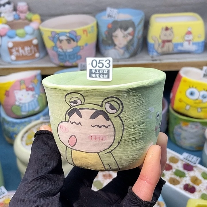 大舅生石花肉锥多肉053