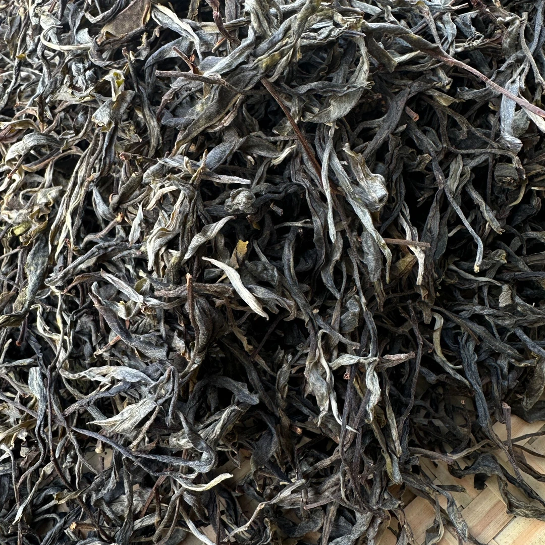 2025年绿水塘古树 普洱茶  散茶  生茶