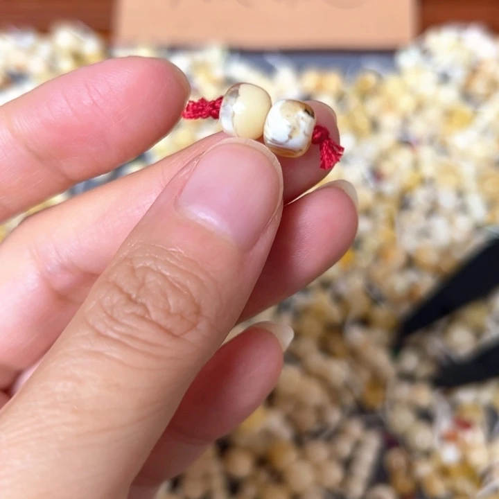 蜜蜡未镶嵌裸石7.5mm一对