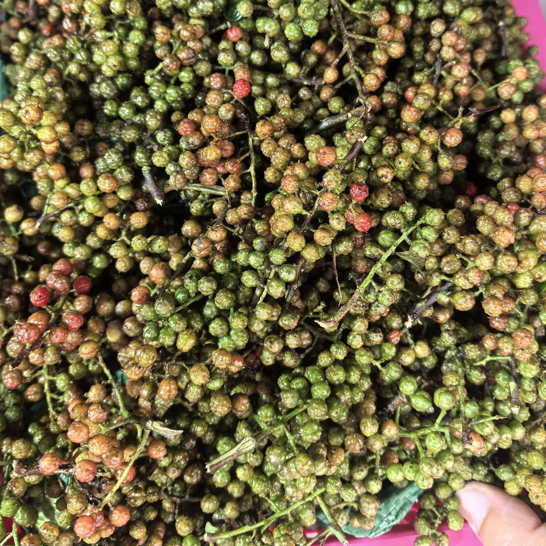 贵州新鲜青红花椒现摘现发