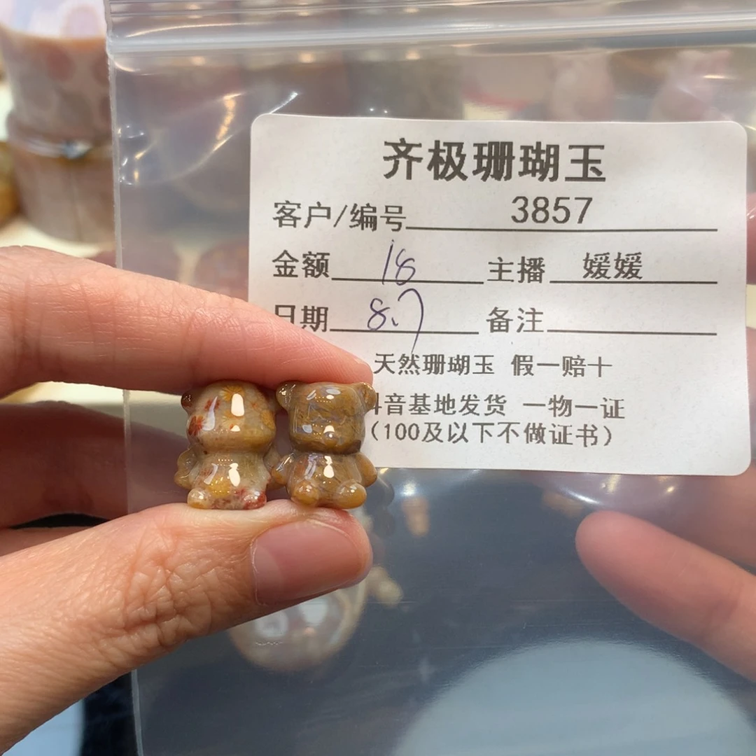 硅化珊瑚（珊瑚玉）未镶嵌颈饰子*