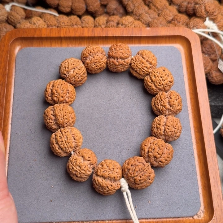 菩提4号尼泊尔大金刚25爆肉梅花