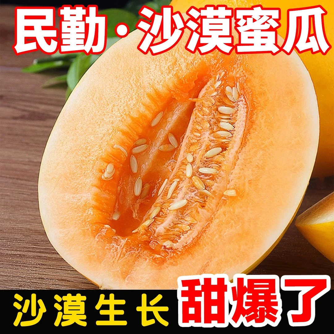 【京东/顺丰发货】甘肃民勤蜜瓜黄河蜜瓜金香瓜产地直发新鲜水果