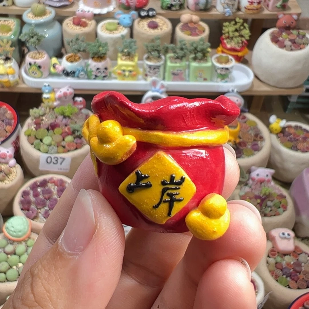 讨*泥多肉植物补差价