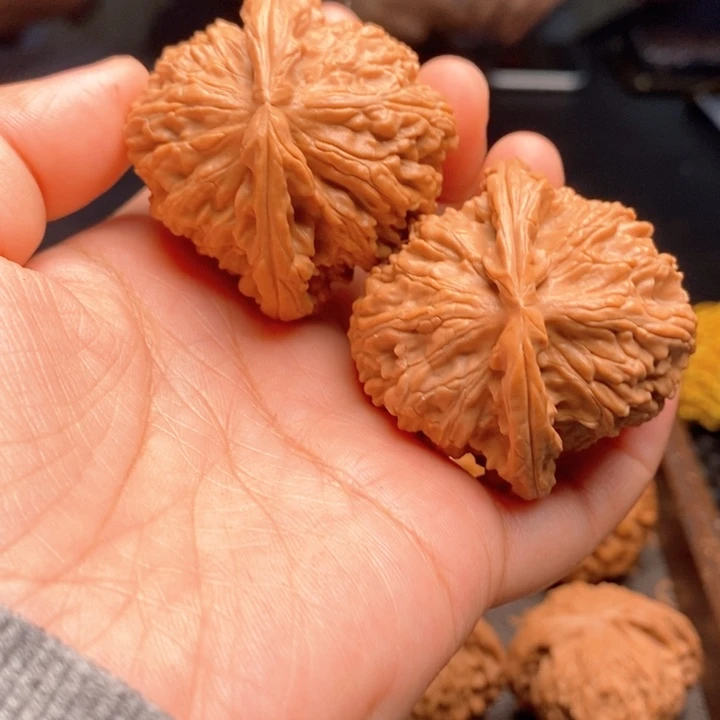 把件文玩核桃白狮子46尺