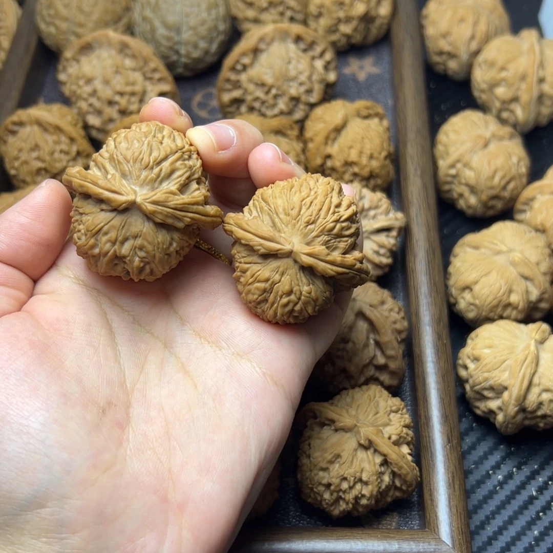 文玩核桃把件白狮子40+修尖