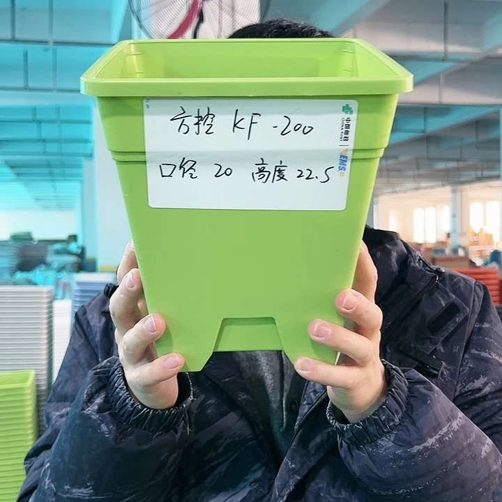 正品方盆口20高22果绿无托6只