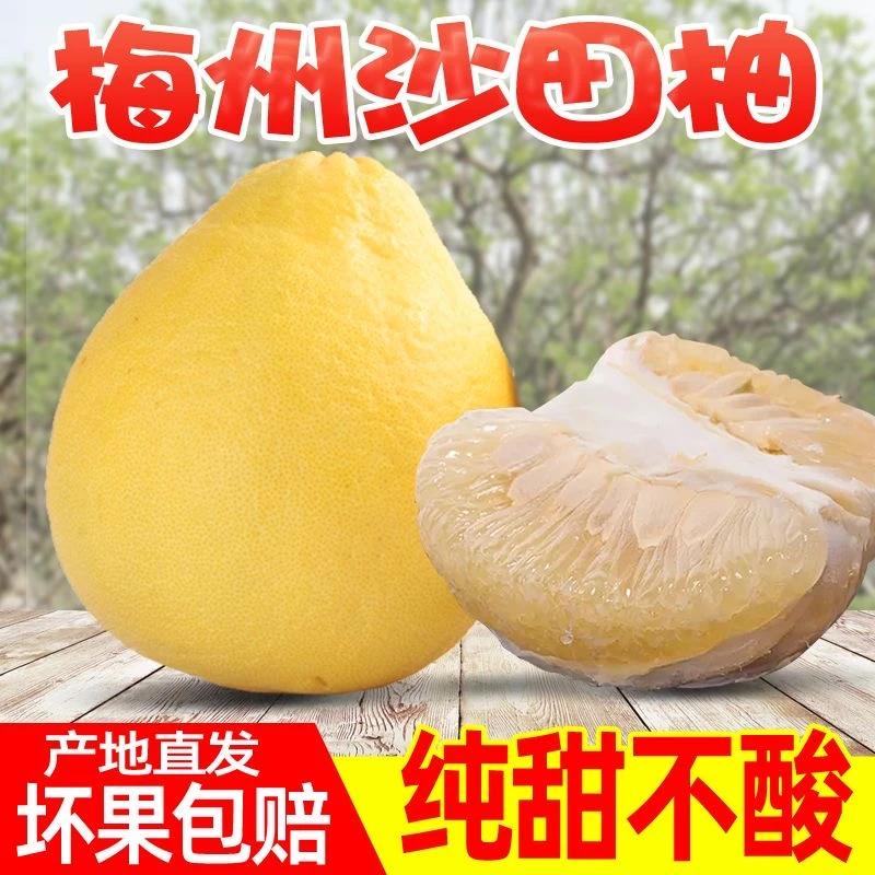 （小金柚）正宗梅州沙田柚金柚纯甜柚子当季新鲜孕妇水果广东特产