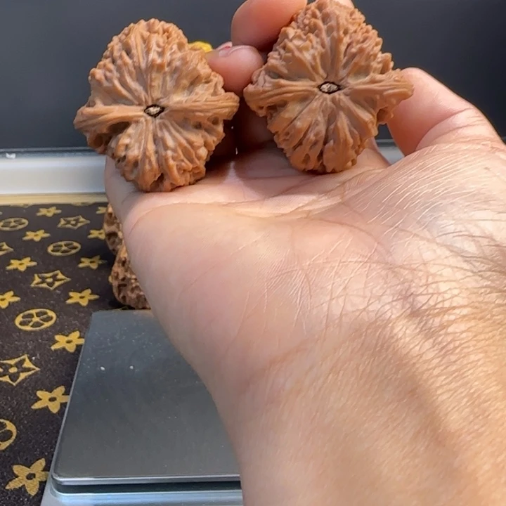 乘***1桃核吊坠核桃核桃