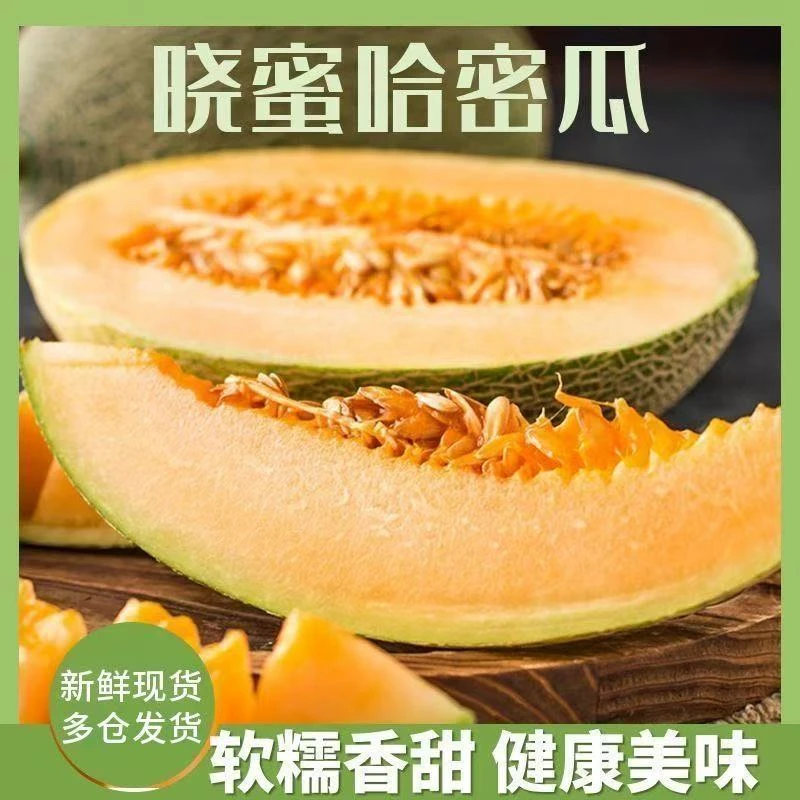 海南哈密瓜新鲜应季脆甜多汁当季甜瓜FT
