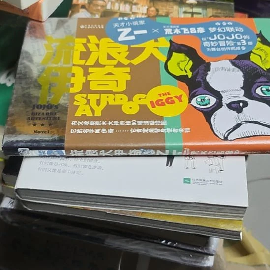 流浪犬伊奇（务必塑封）
