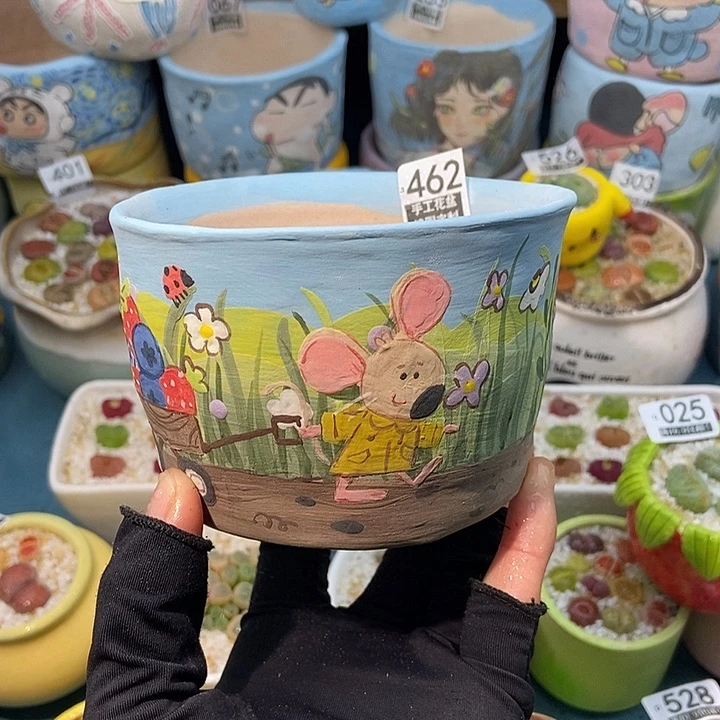 大舅生石花肉锥多肉462