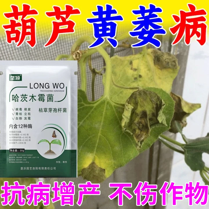 葫芦黄萎病专用肥料防黄叶卷叶病炭疽病霜霉病灰霉病白粉病叶面肥