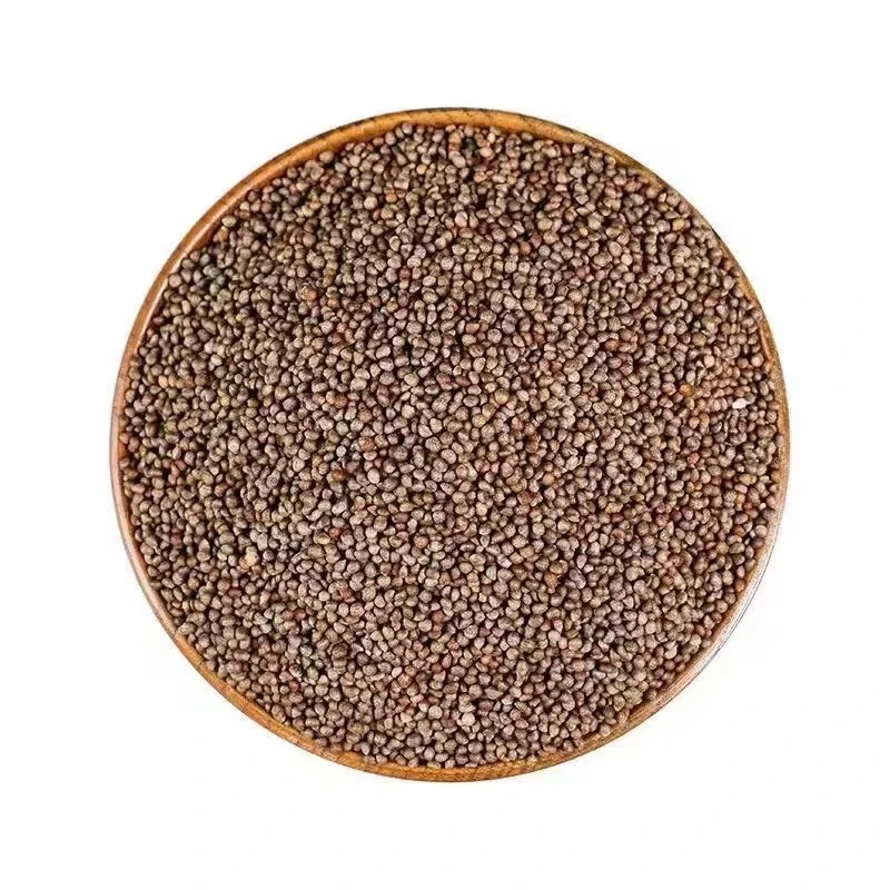 苏子籽 苏籽 东北紫苏 苏籽 农家种植 无添加