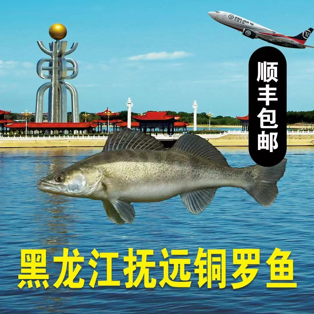 黑龙江抚远冷水铜罗鱼