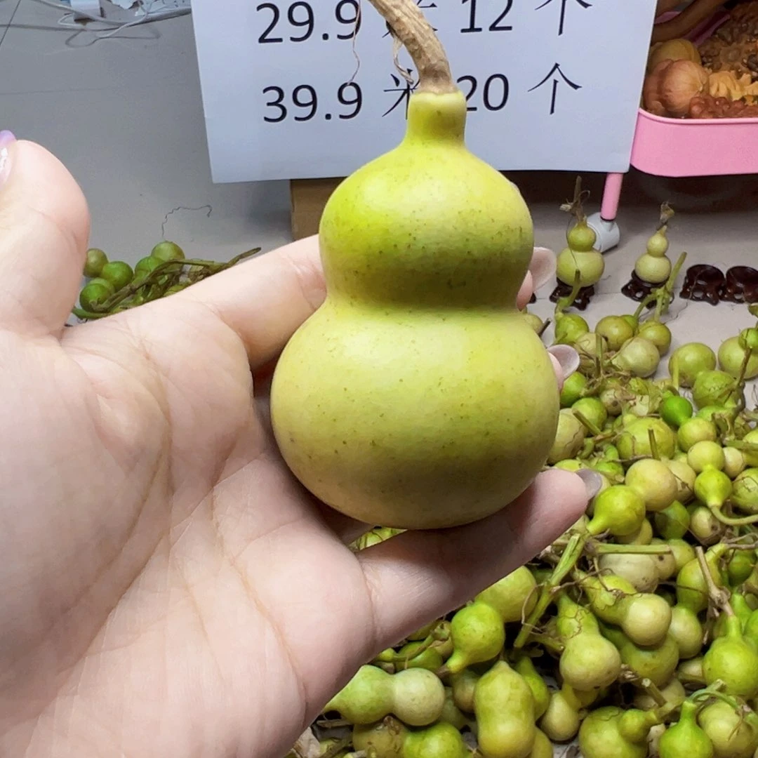 葫芦中国大陆芦*_