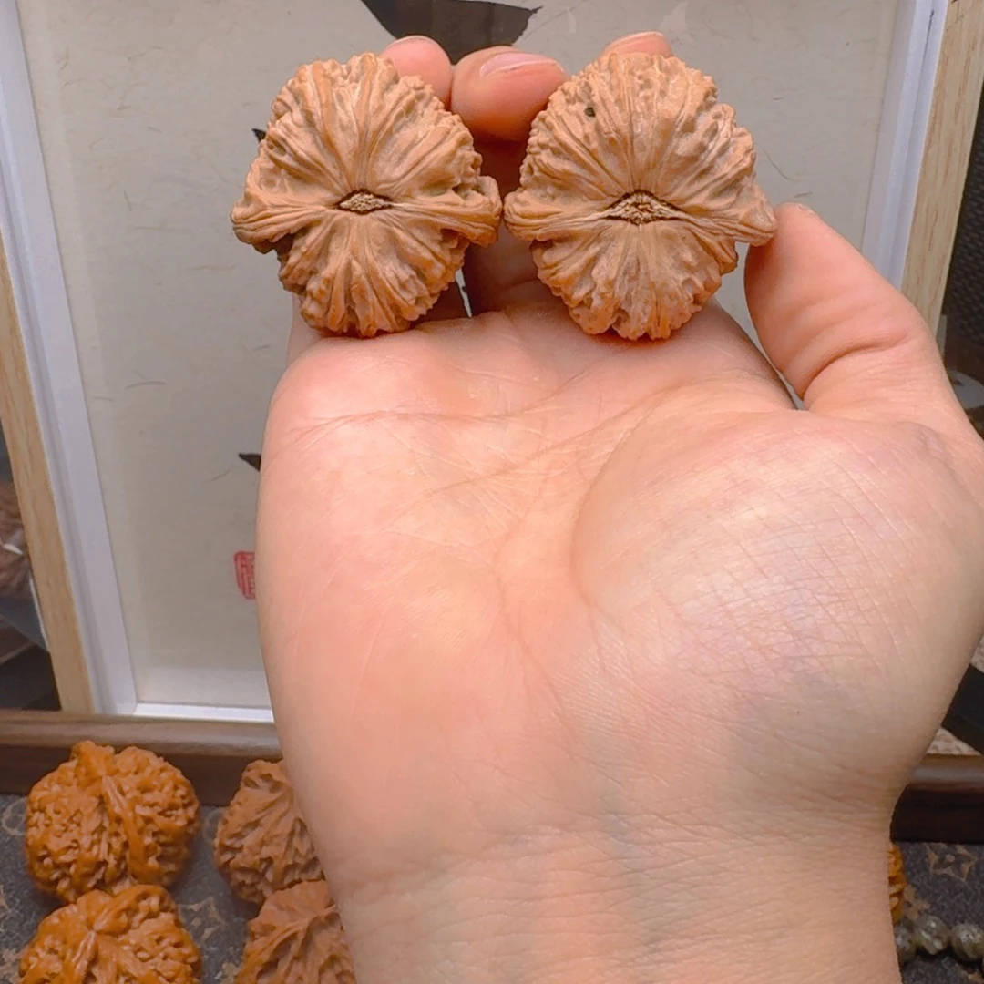 文玩核桃把件“**”4107白狮子福利