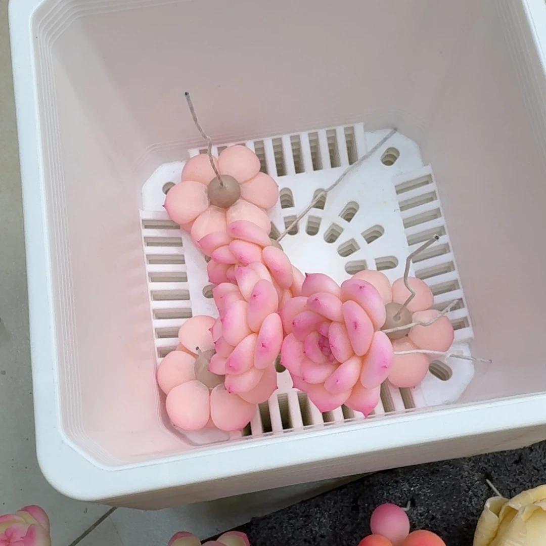 树脂329号哦哦哦哦哦哦哦