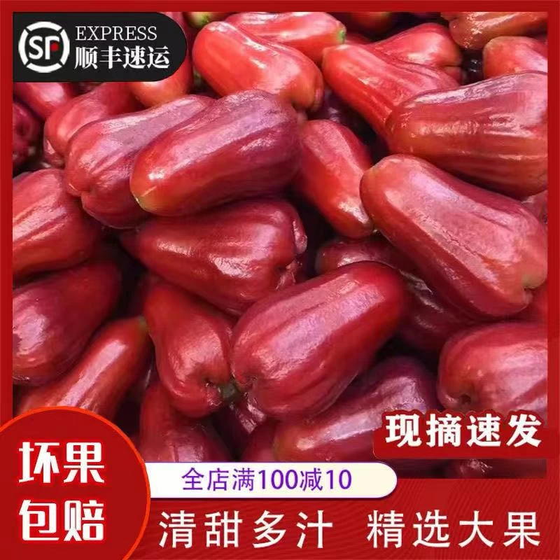 海南新鲜多汁清甜脆爽热带水果特产低热量莲雾果莲雾水果夏日水果