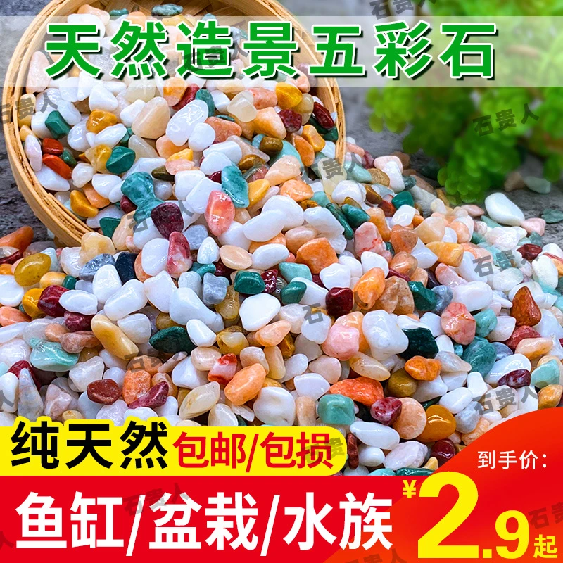天然雨花彩石鱼缸造景底砂溪流石多肉铺面花盆栽花卉五彩小石头子