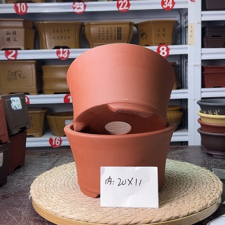 紫砂花盆蛇年大吉