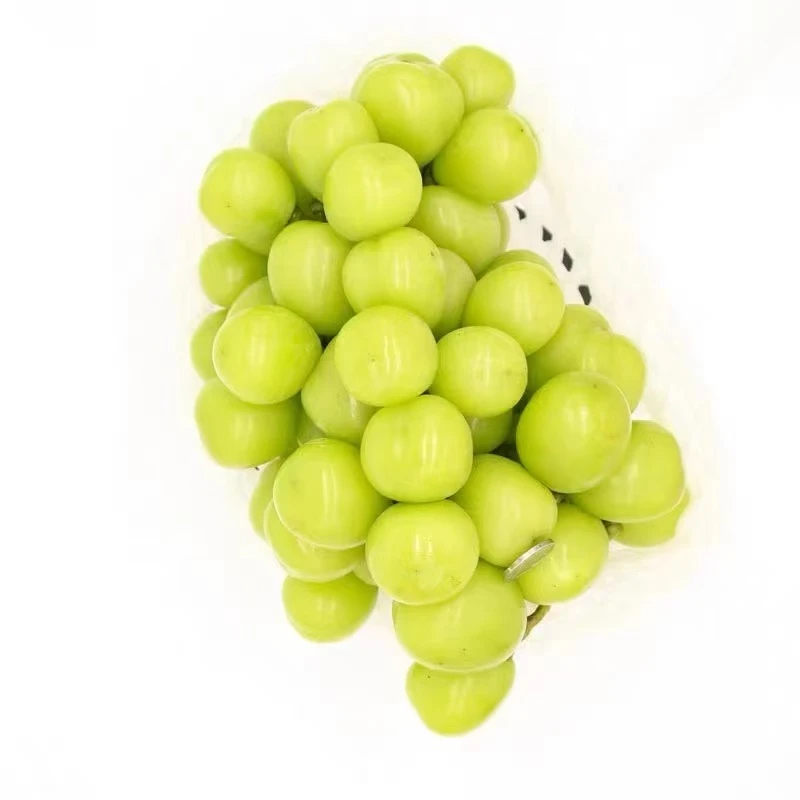 晴王（0.9kg-1kg）