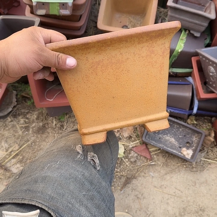 是一个不知名作家与著名导演