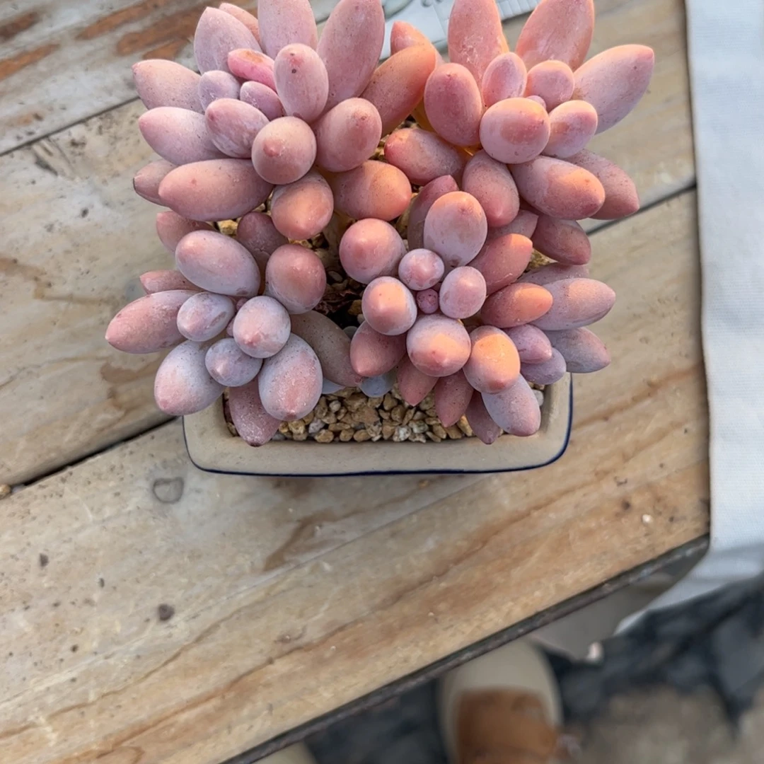 浅***月11111111111111111111