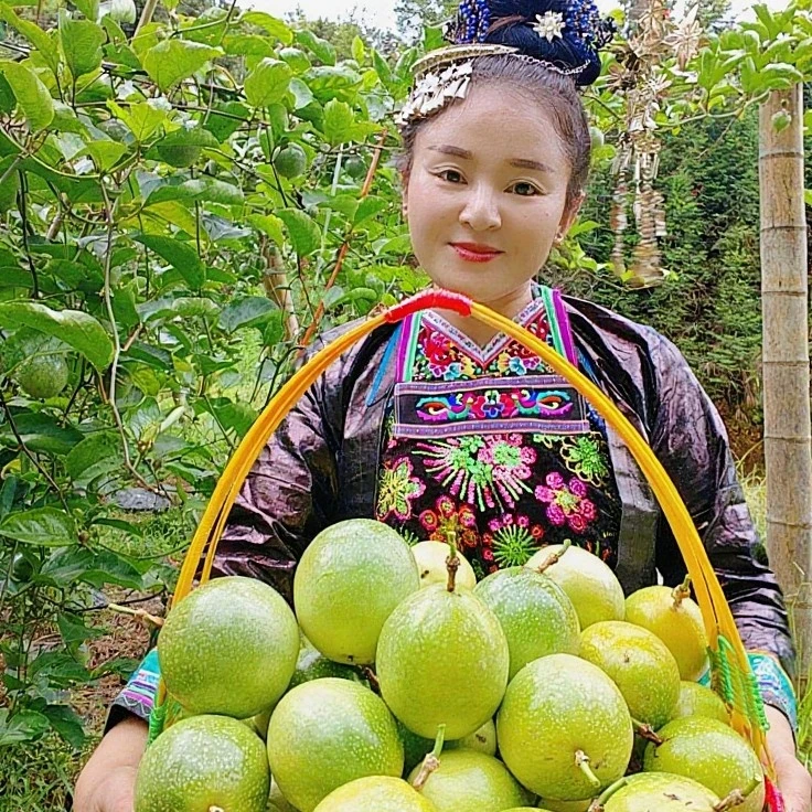 从江往洞新鲜钦蜜九号百香果钦蜜9号9号香甜多汁当季水果采摘村超