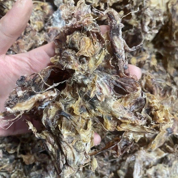 生晒鱿鱼须 鱿鱼须