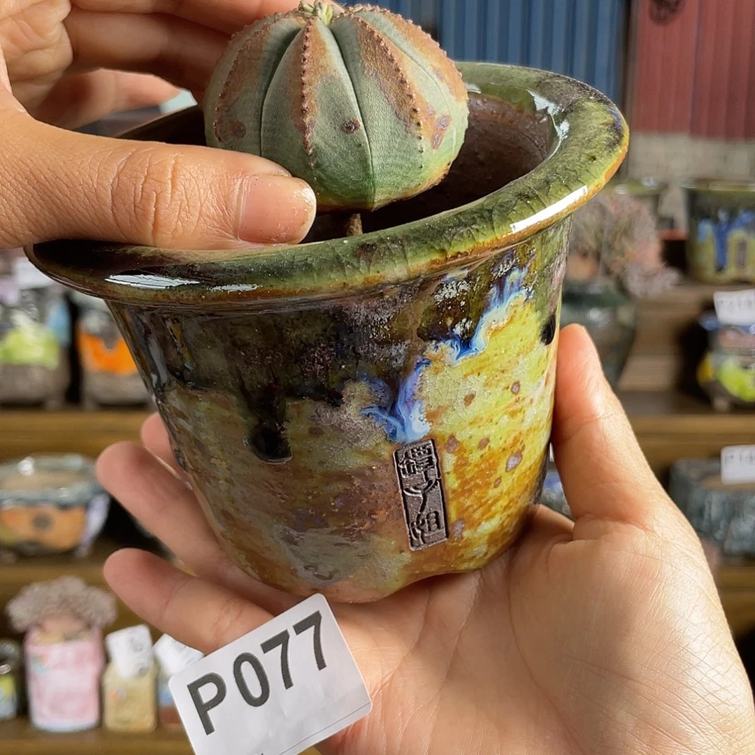 球盆 块根盆盆 内口9.5百搭 不含球