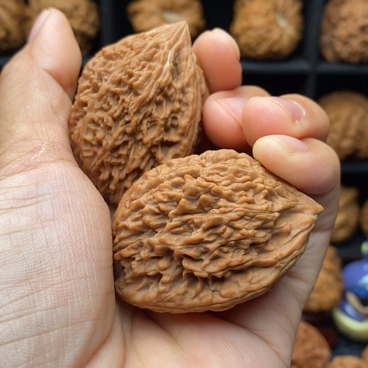 ****婲吊坠龙脊菩提蒜头全品