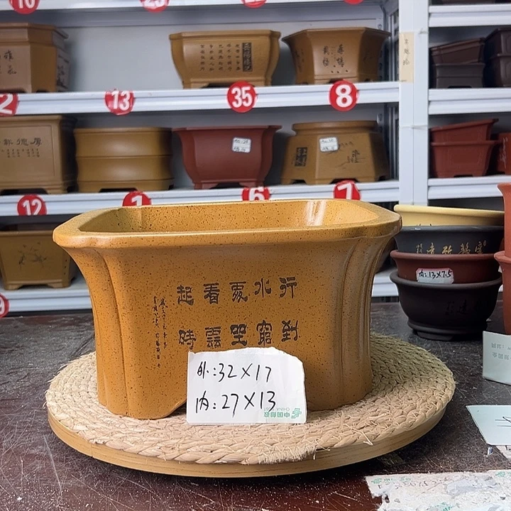 紫砂花盆蛇年大吉