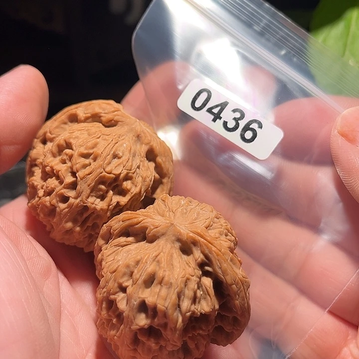 西***儿吊坠文玩核桃111111111111