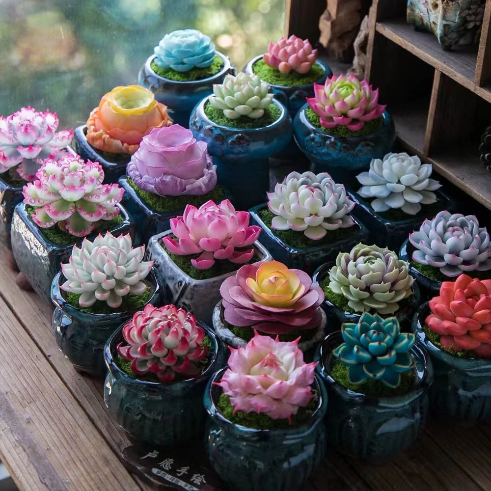 9001吉娃娃白仙子 手绘树脂粘士手工艺多肉精选品种单头仿真花