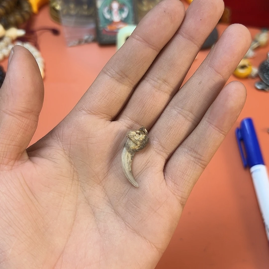 玛吉阿米藏式臻品直播间