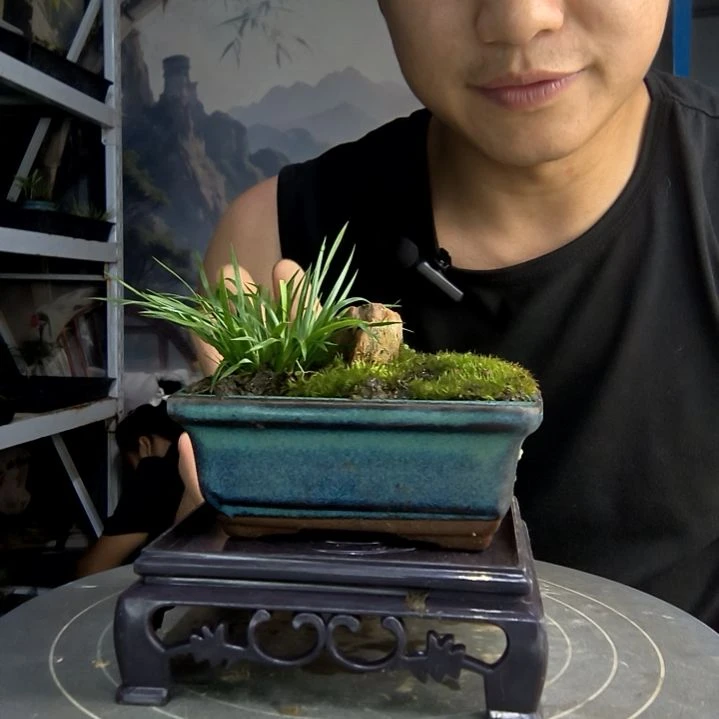 哎***喂中青园艺一物一拍16