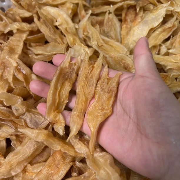 北海尖尾鳘鱼胶 泡发厚肉 产后滋补炖汤炖奶