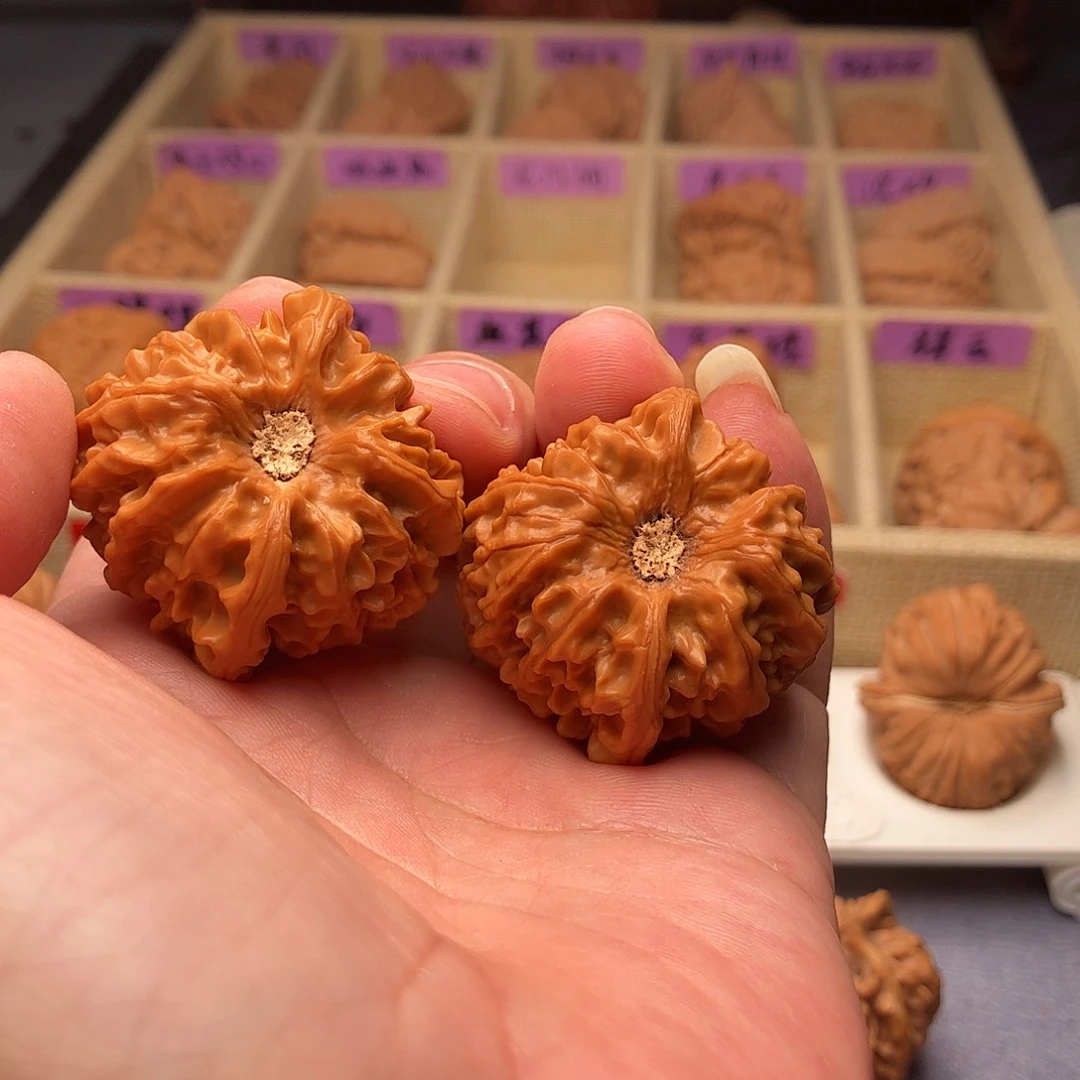 文玩核桃把件龙门涧狮子头38（头货精品