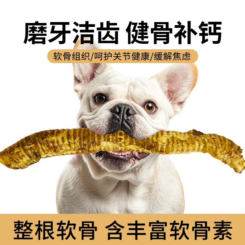 牛喉管狗零食超大磨牙棒小中大型犬泰迪金毛洁齿骨头幼犬耐啃咬胶