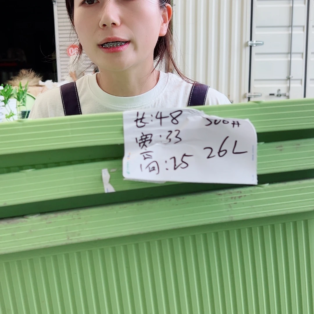菜盆500#果绿3个无托